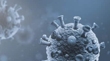 Plenareno Allergy, Asthma and Clinical Immunology Conference