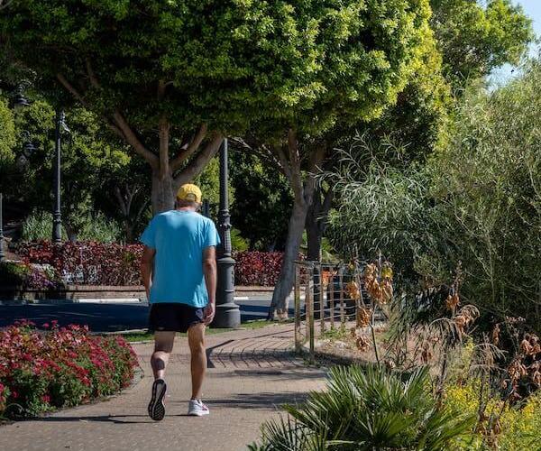 Research Study by University of Granada