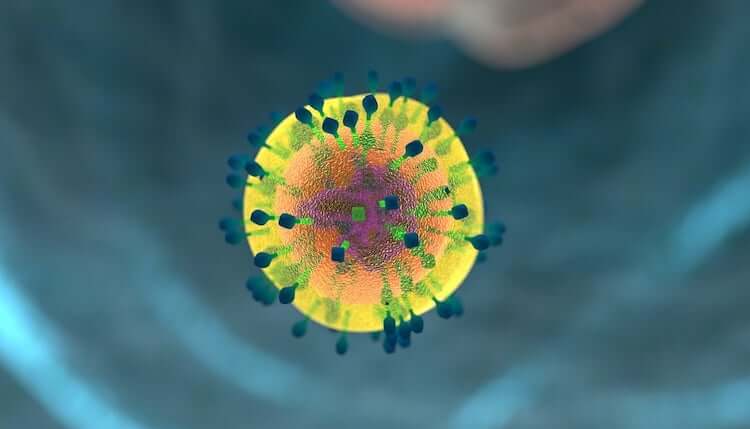 Research new by Cold Spring Harbor Laboratory on T cell