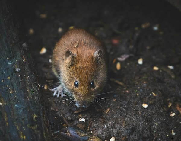 Research news by UK Research and Innovation