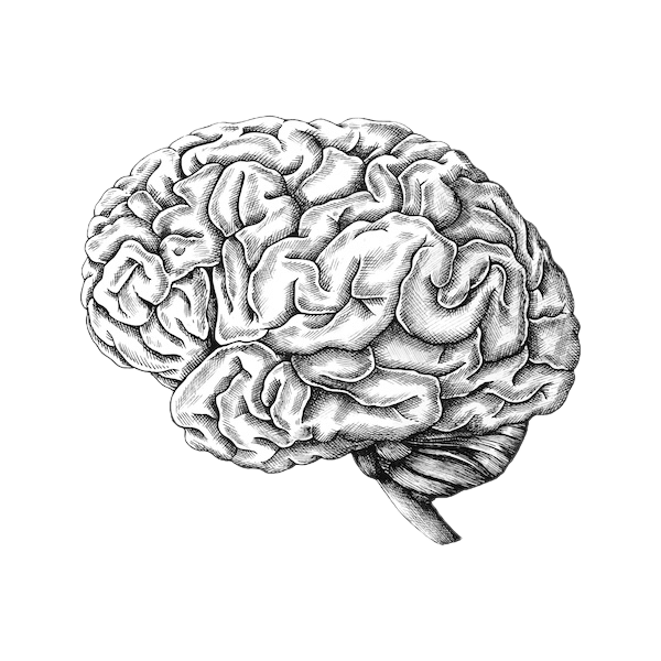 Study by University of Nevada, Las Vegas